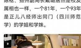 戴璐事件爆料视频大全集,揭秘视频爆料背后的真相与争议